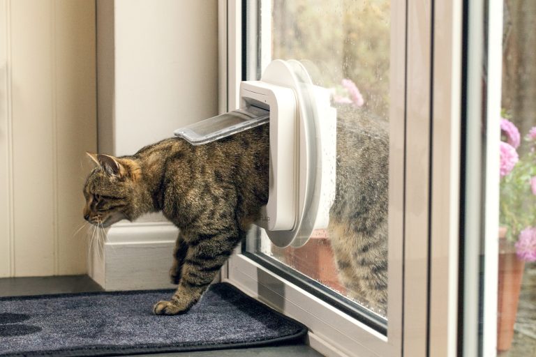 katzenklappe_im_fenster