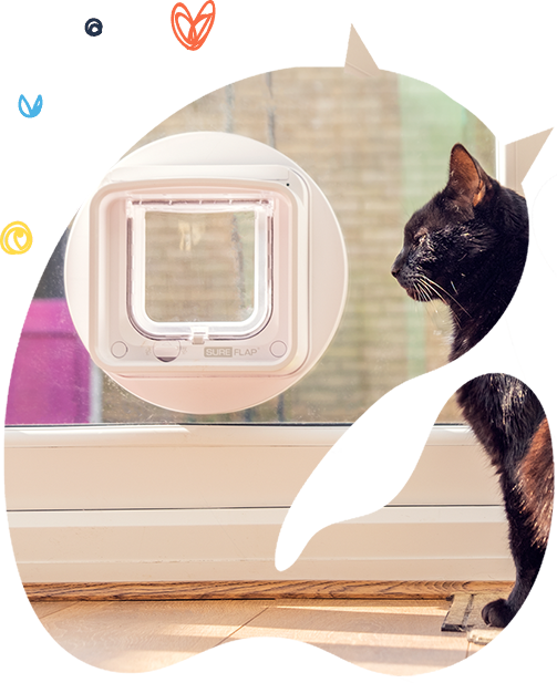 Tür nach außen Katzenklappe meinekatzenklappe.de