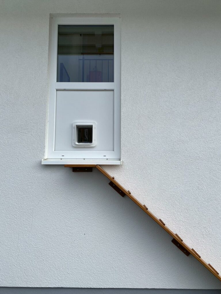 Katzenklappe In Terrassentr Einbauen
